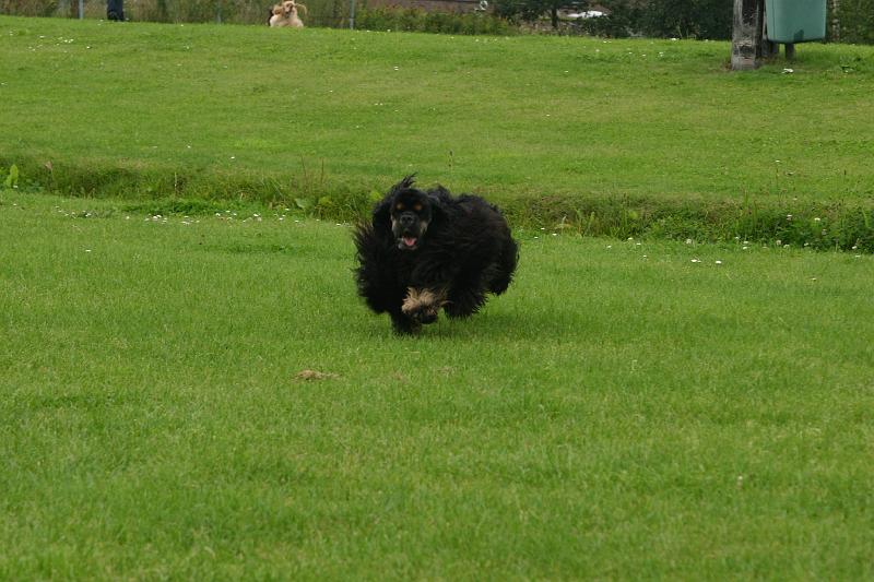 JH dag 2008 015e.jpg